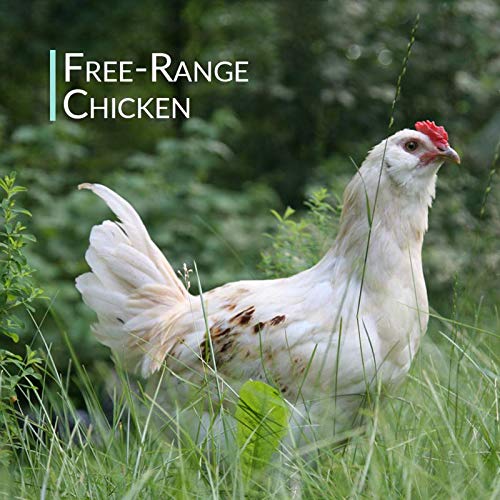 Organic Free Range Chicken Bone Broth Powder 1LB J6513