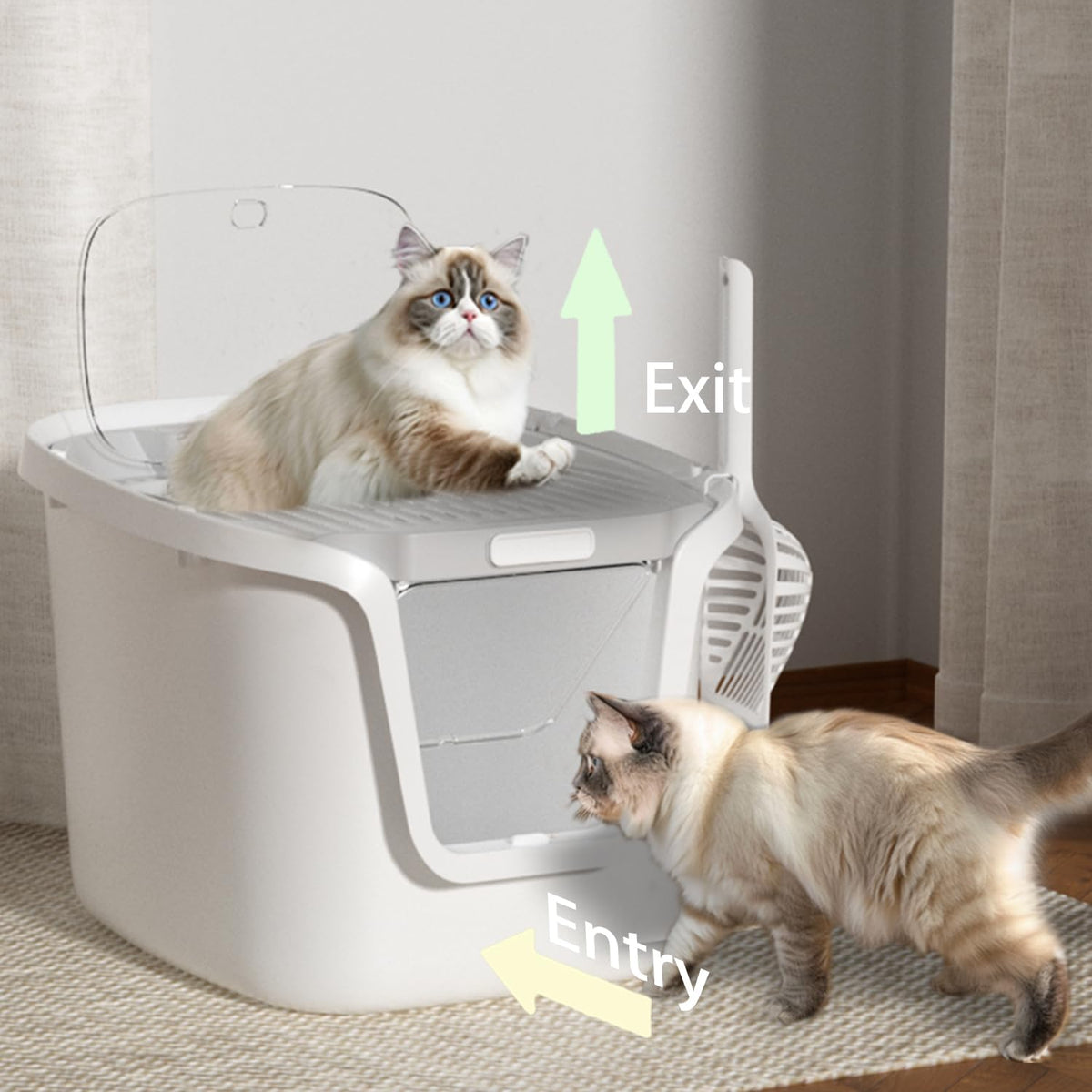 Molded Cat Litter Box with Scoop I8465