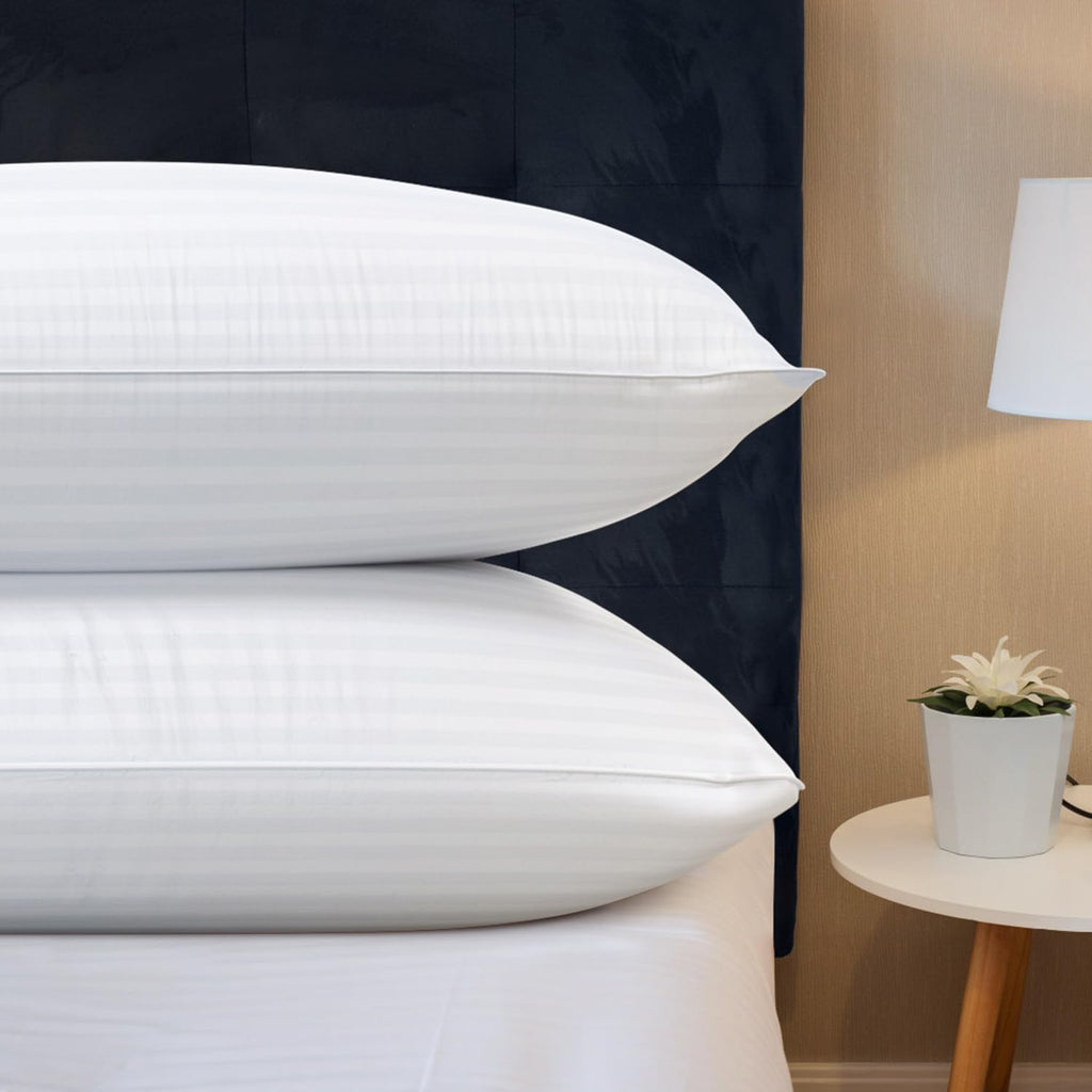 Queen Size Microfiber Bed Pillows Set of 2 X5316