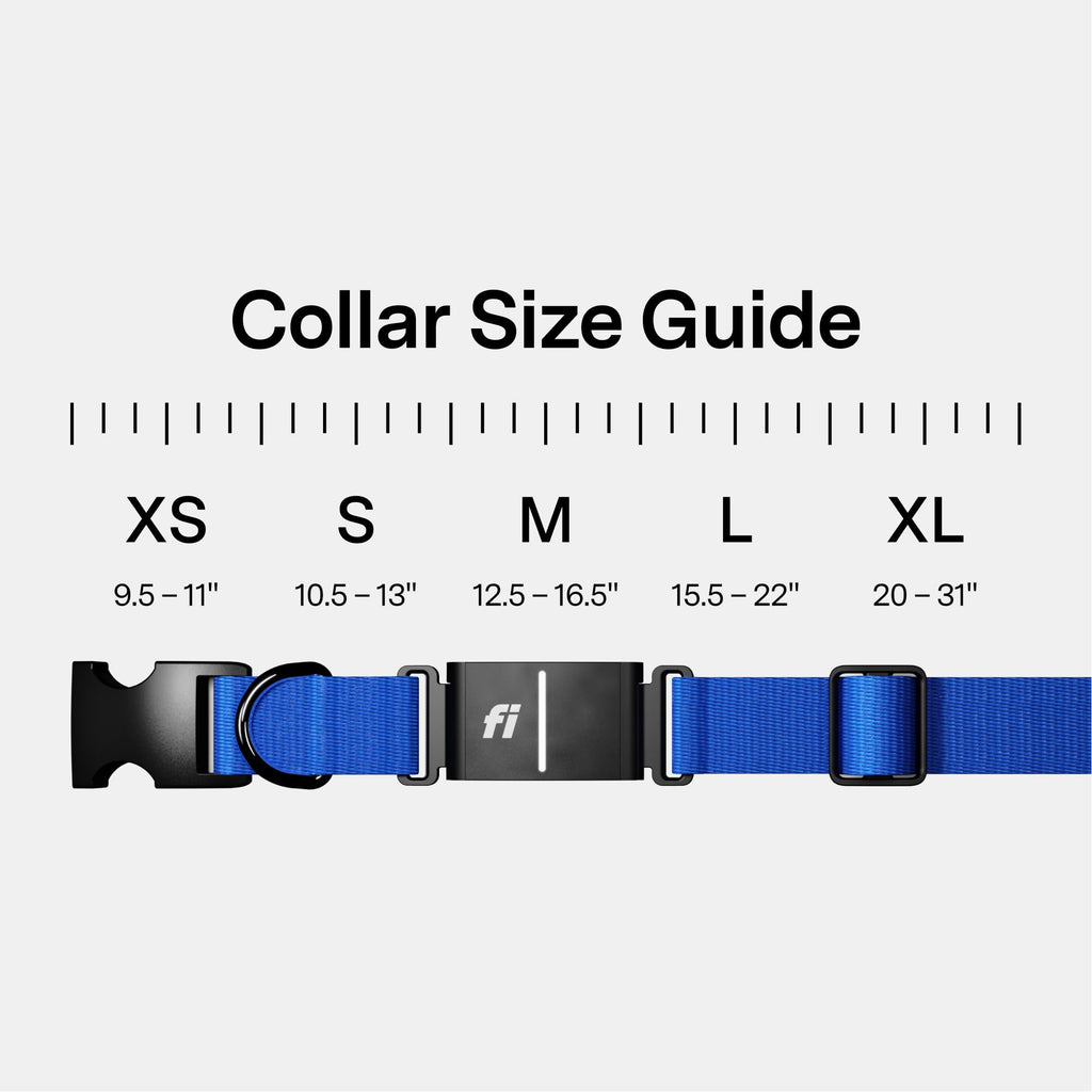 GPS Dog Collar & Tracker E684