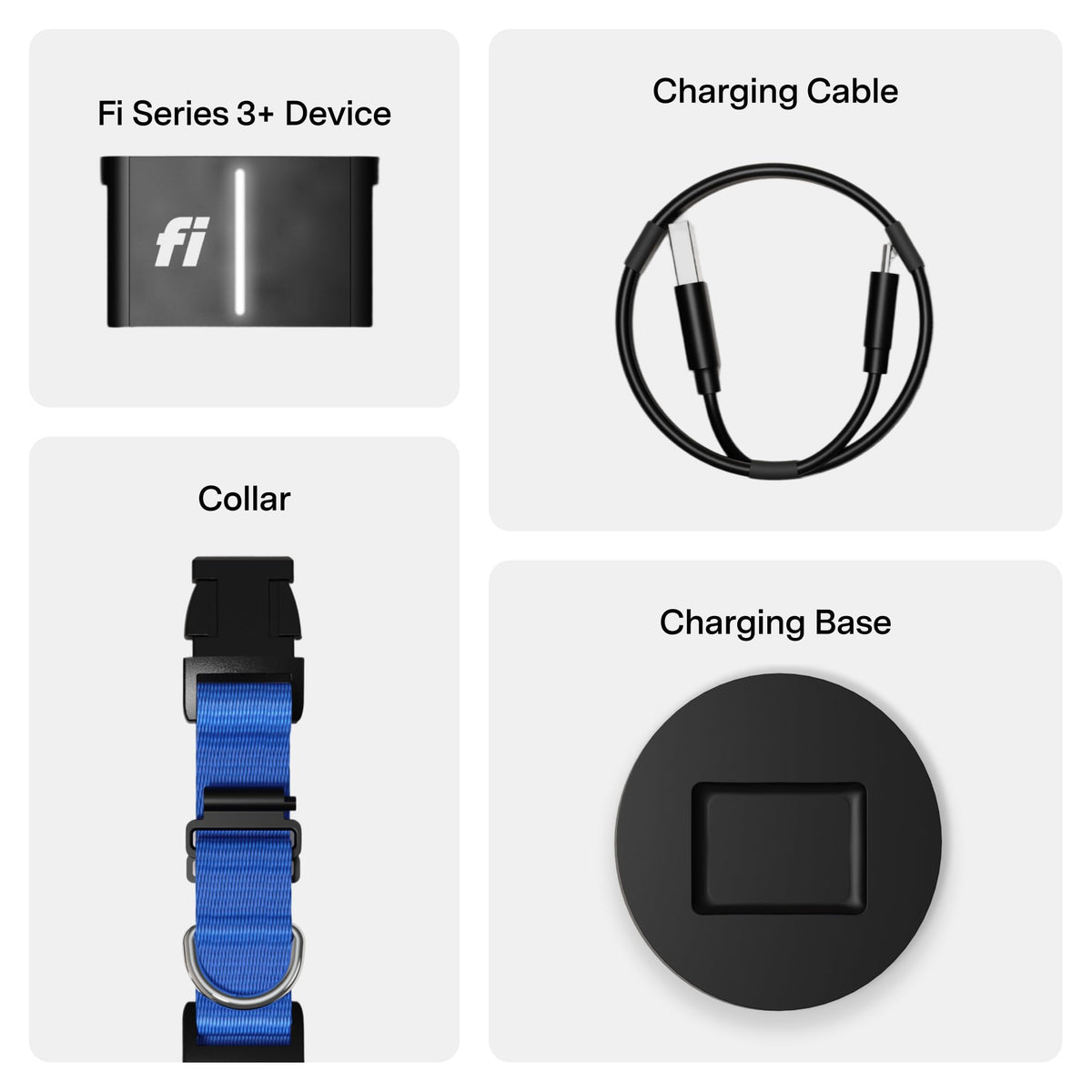 GPS Dog Collar & Tracker E684