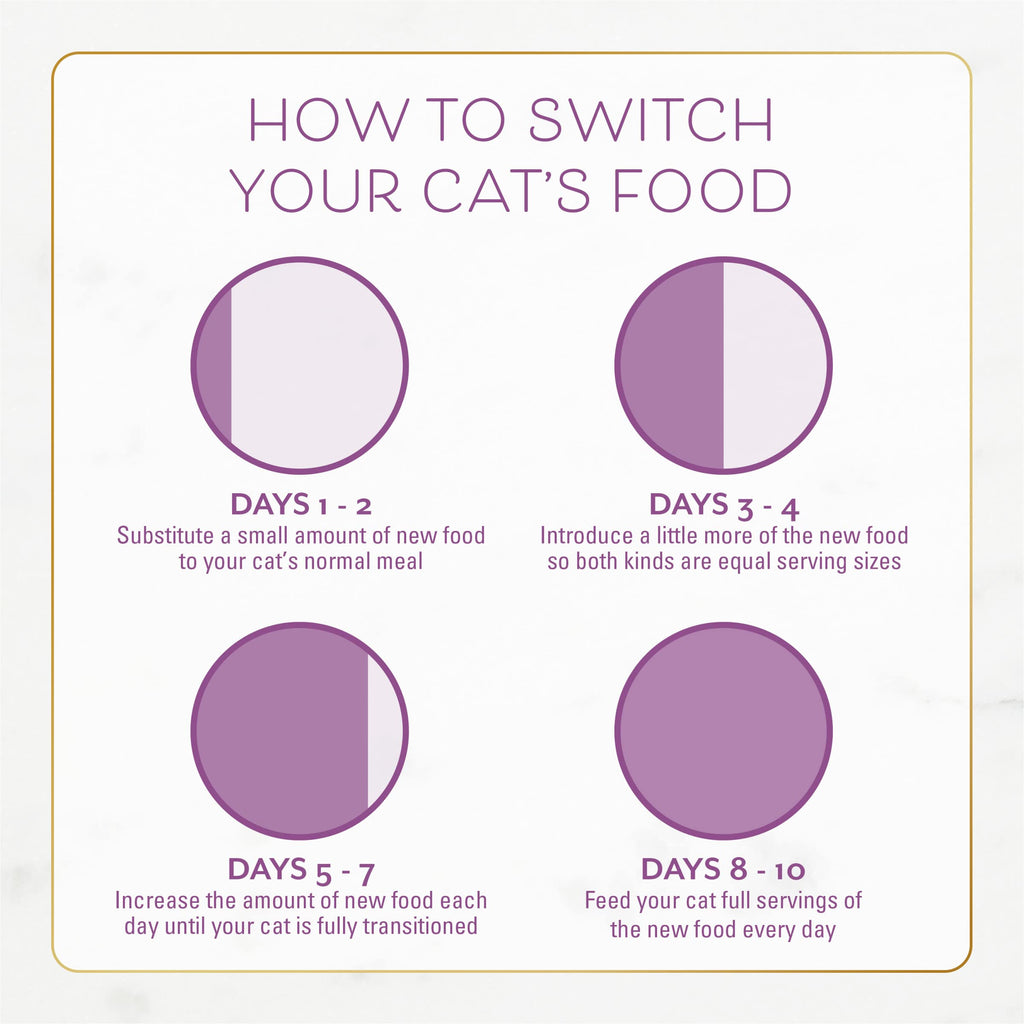 Dry Cat Food with Chicken and Turkey 7 lb Bag Pack of 2 S774