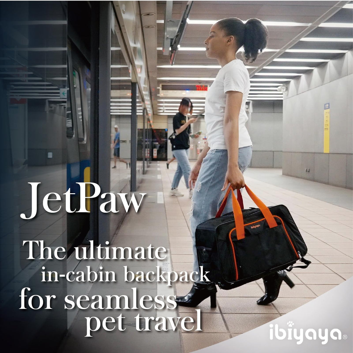 Expandable Pet Carrier for Dogs and Cats V867078
