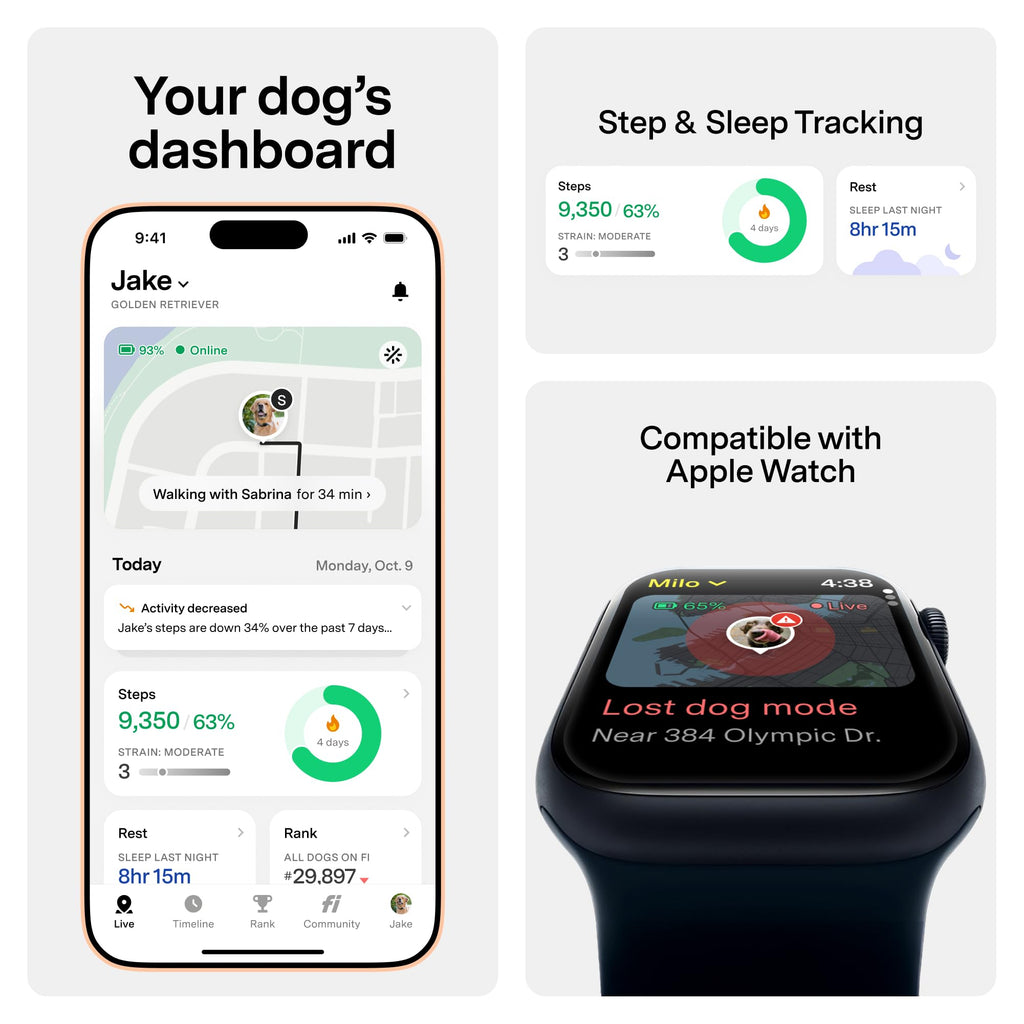 GPS Dog Collar & Tracker E684