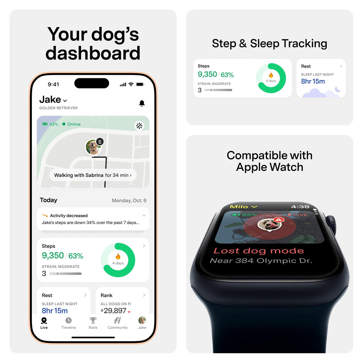 GPS Dog Collar & Tracker E684