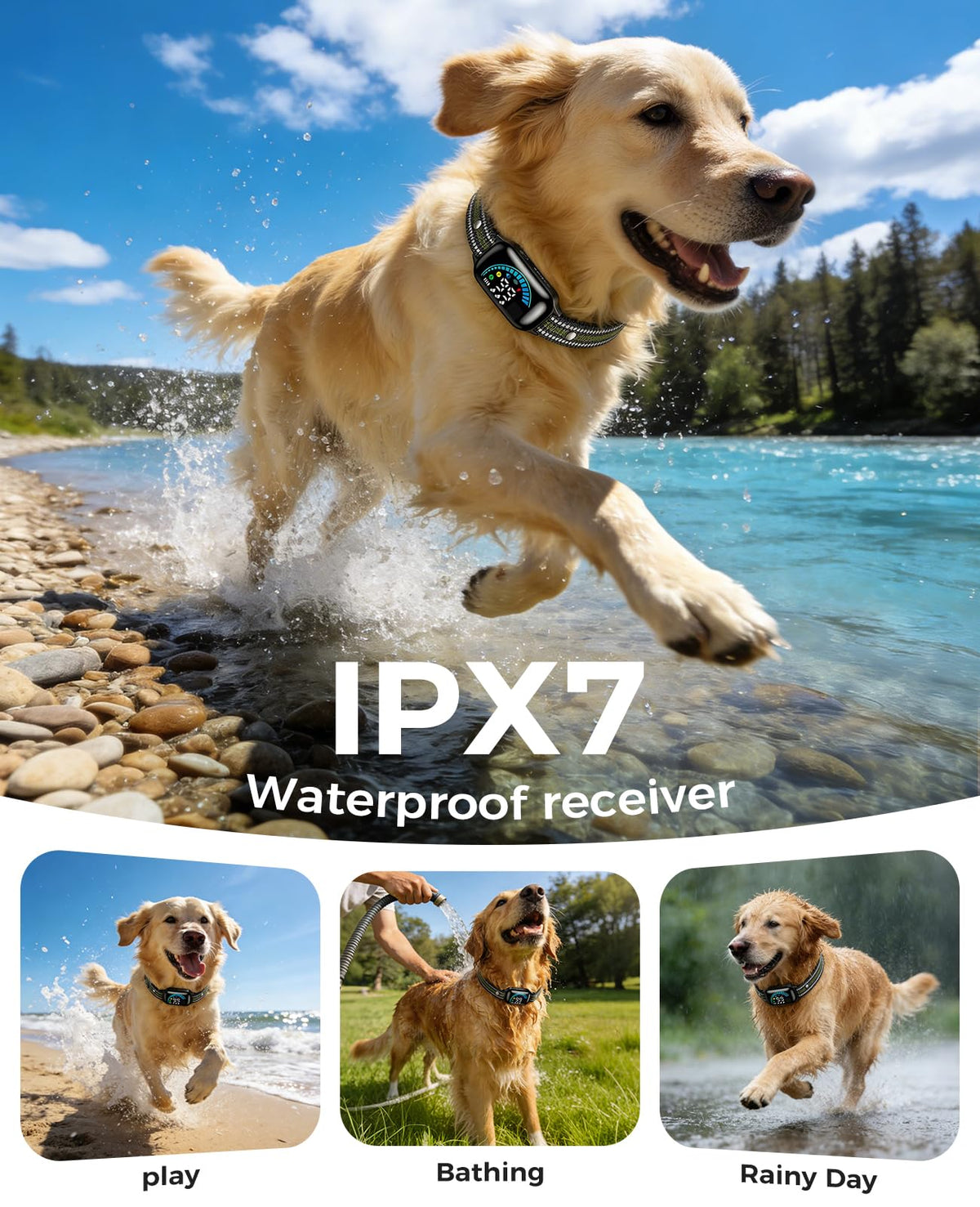 2-in-1 Dog Shock Collar & Bark Collar Q33578