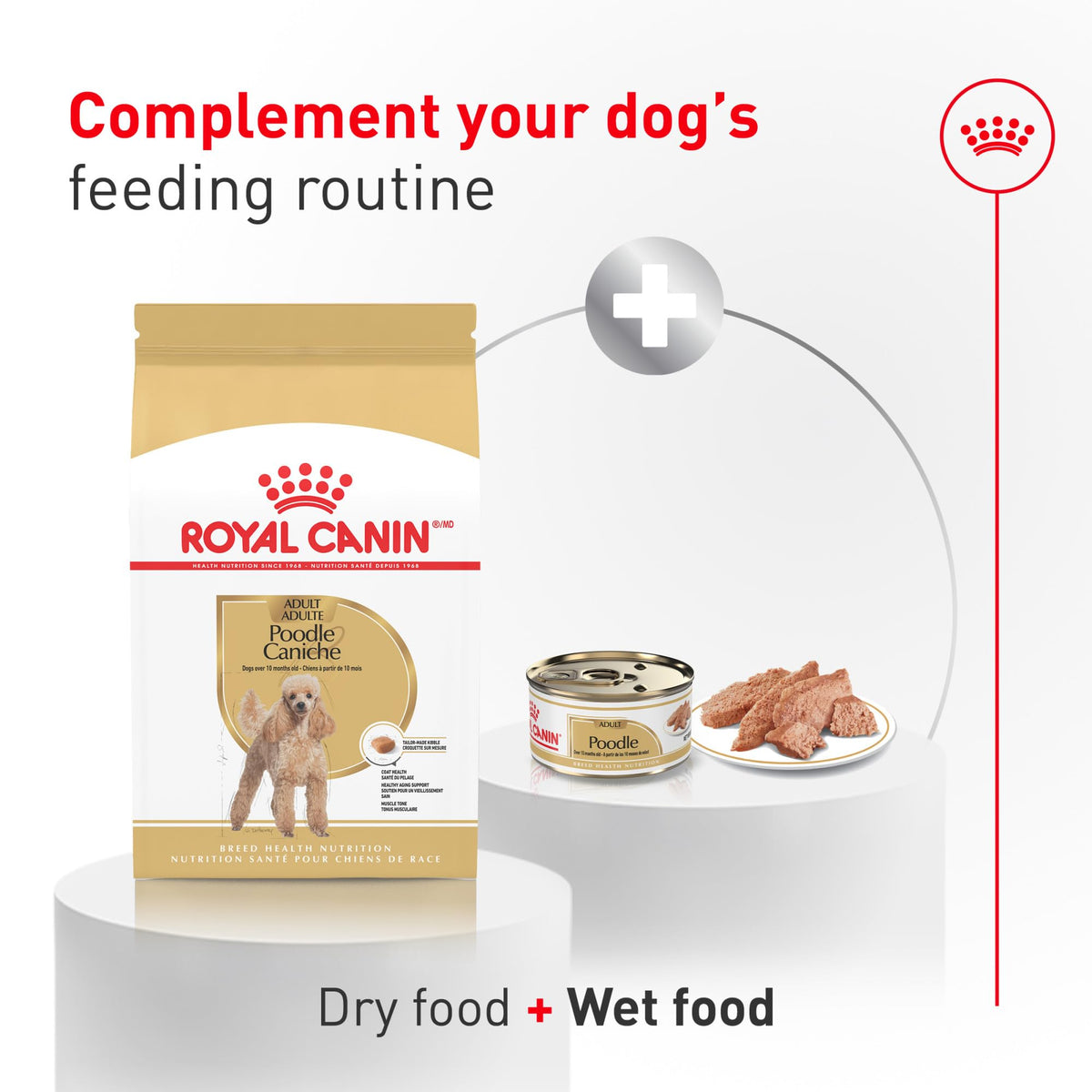 Dry Dog Food 10 lb Bag O61779