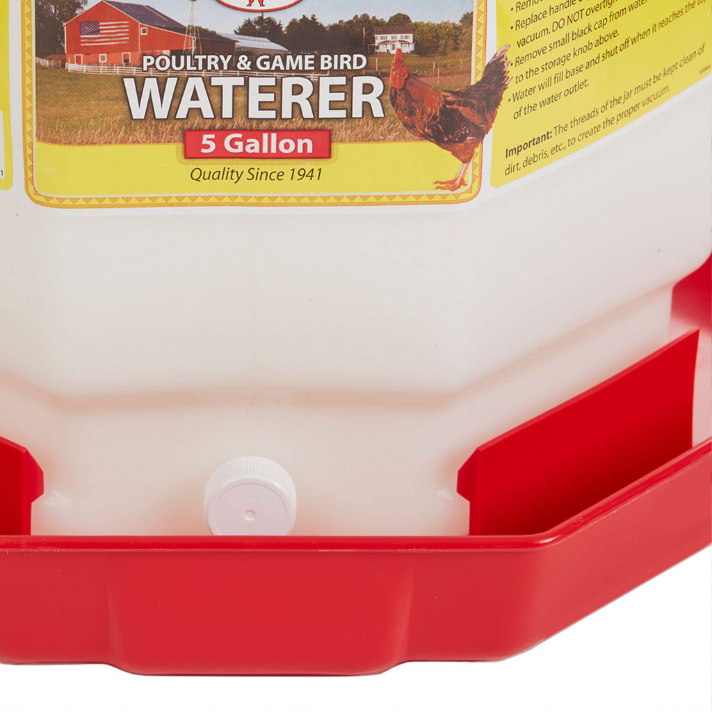 5 Gallon Hanging Automatic Poultry Waterer Dispenser, 2-Pack D298