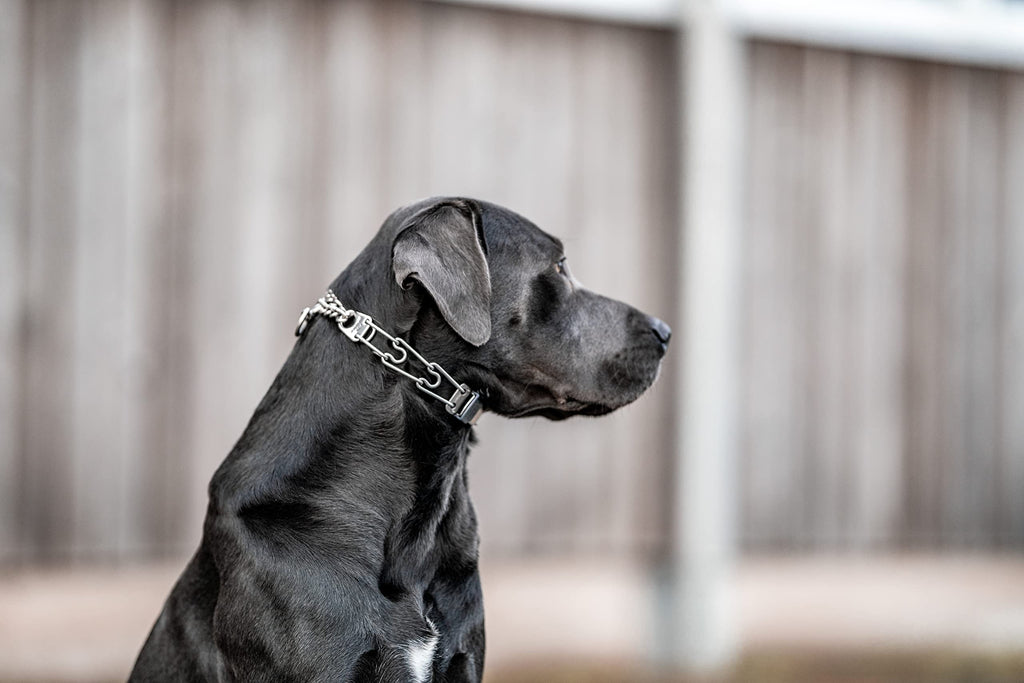 Adjustable Stainless Steel Prong Collar with Quick Release Buckle E989