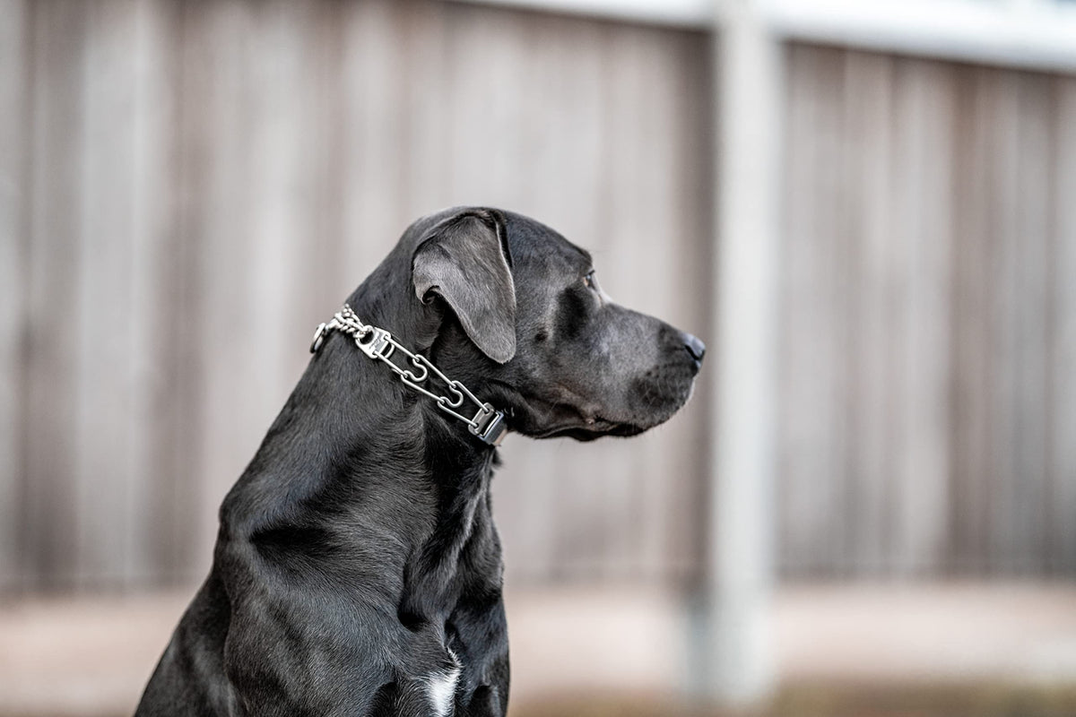 Adjustable Stainless Steel Prong Collar with Quick Release Buckle E989