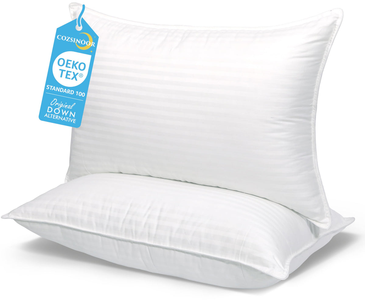 Queen Size Microfiber Bed Pillows Set of 2 X5316