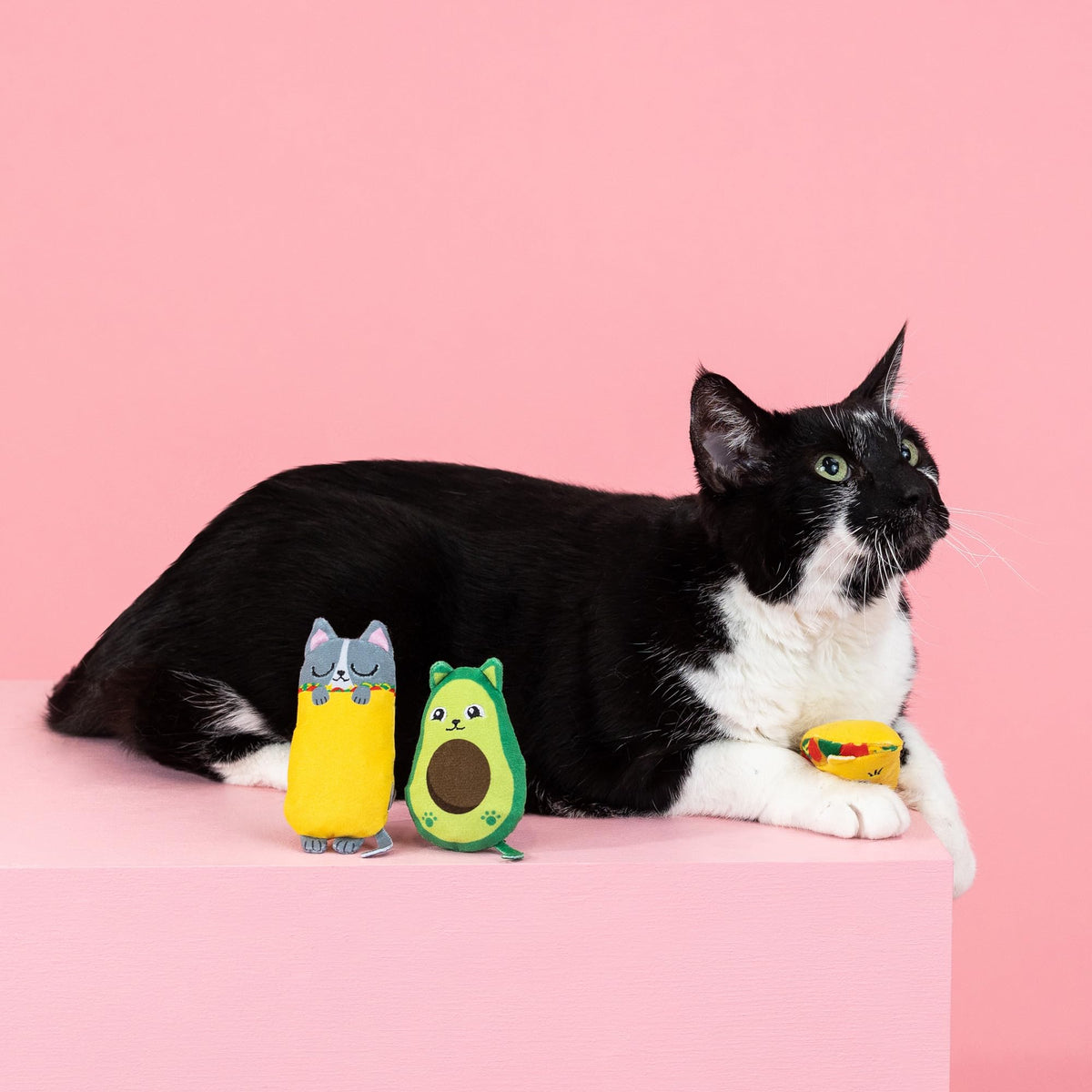 Plush Cat Toy 3 Piece Set H762