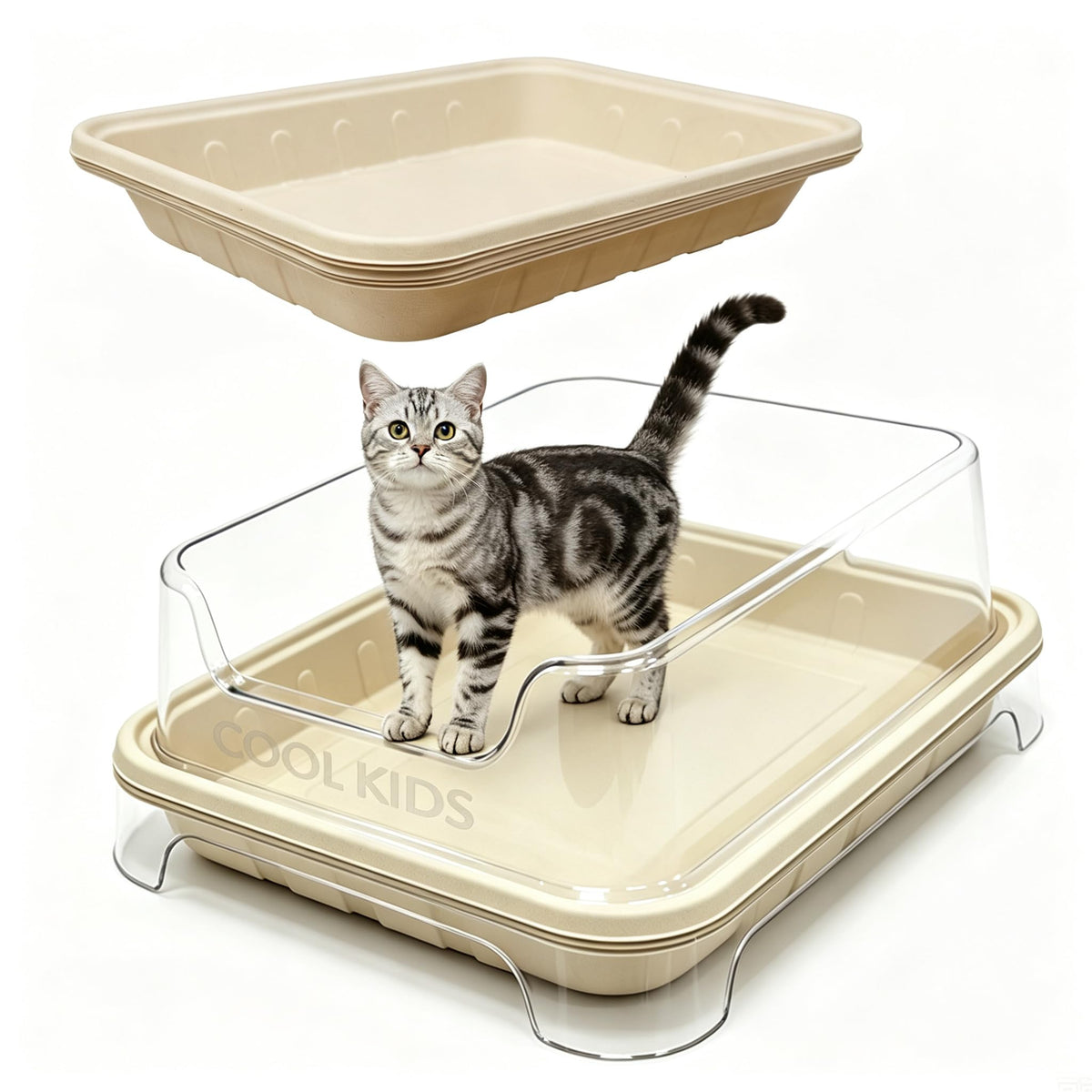 1+5 Pack Disposable Litter Boxes for Cats F5097