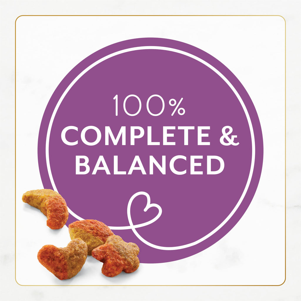 Dry Cat Food with Chicken and Turkey 7 lb Bag Pack of 2 S774