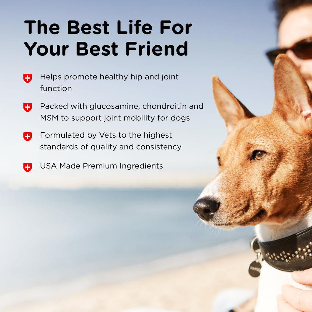 Glucosamine Chondroitin Dog Supplement 150 Ct V33518