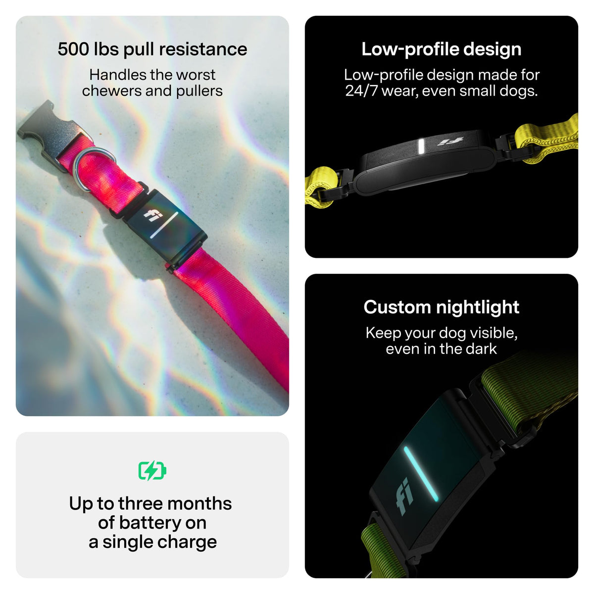 GPS Dog Collar & Tracker E684