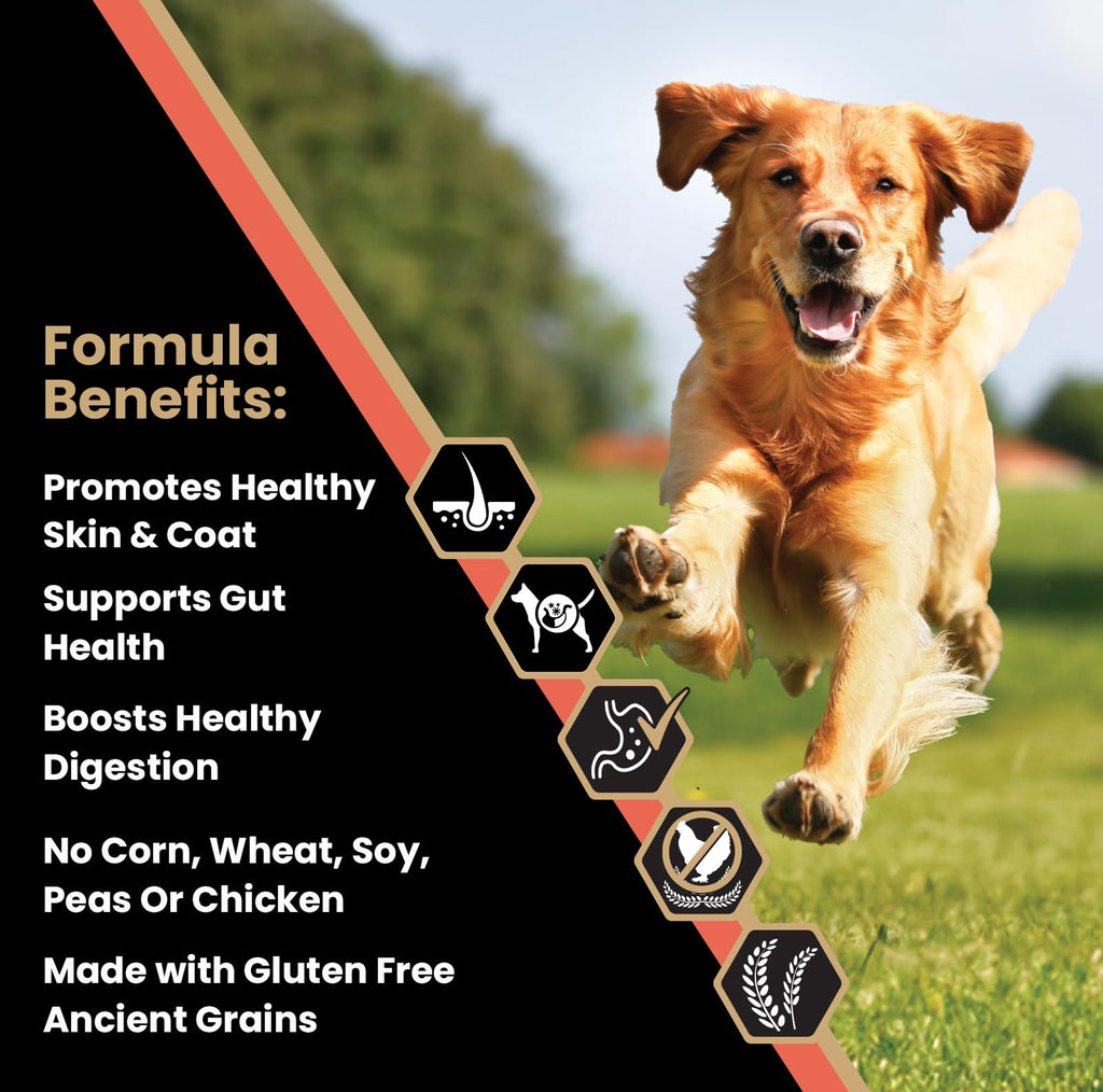 Salmon Meal & Brown Rice Dog Food, 30 lb Y39859
