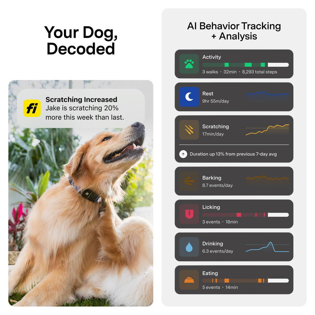 GPS Dog Collar & Tracker E684