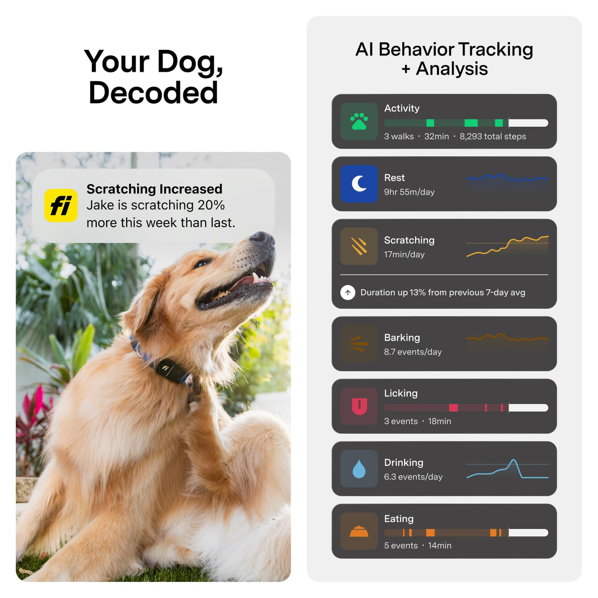 GPS Dog Collar & Tracker E684