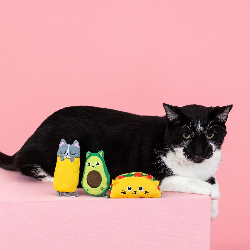 Plush Cat Toy 3 Piece Set H762