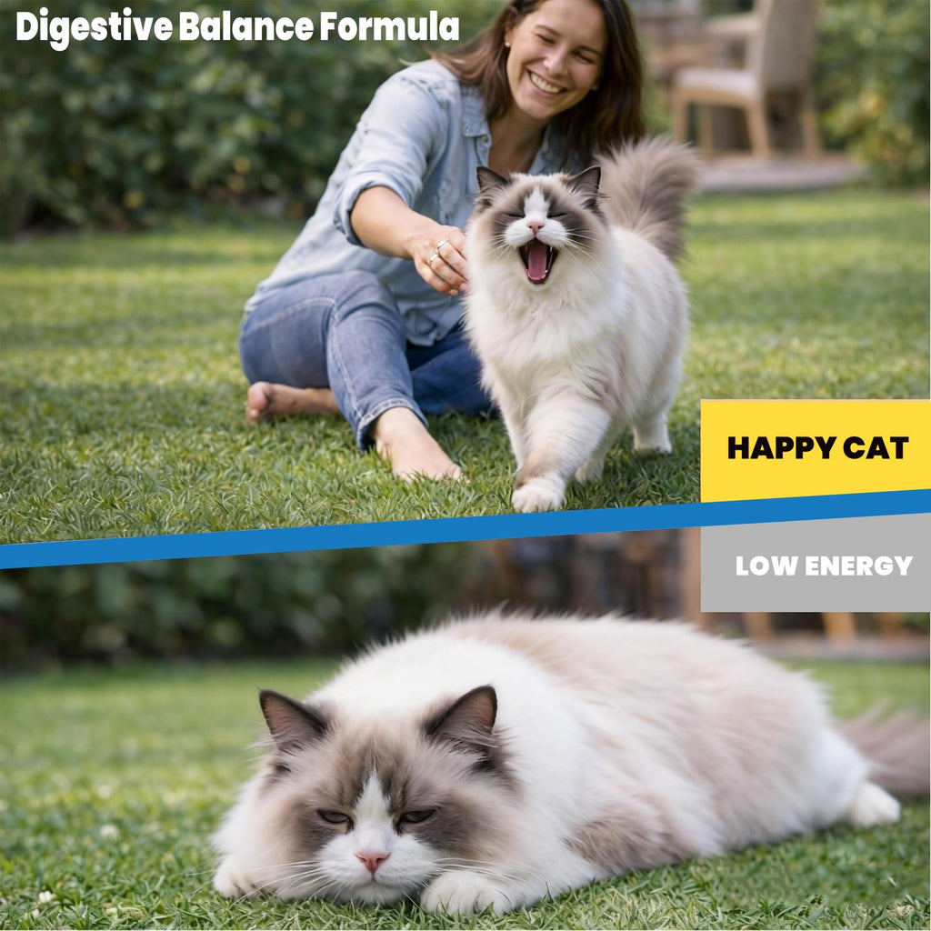 Cat Dewormer Tablets O4212