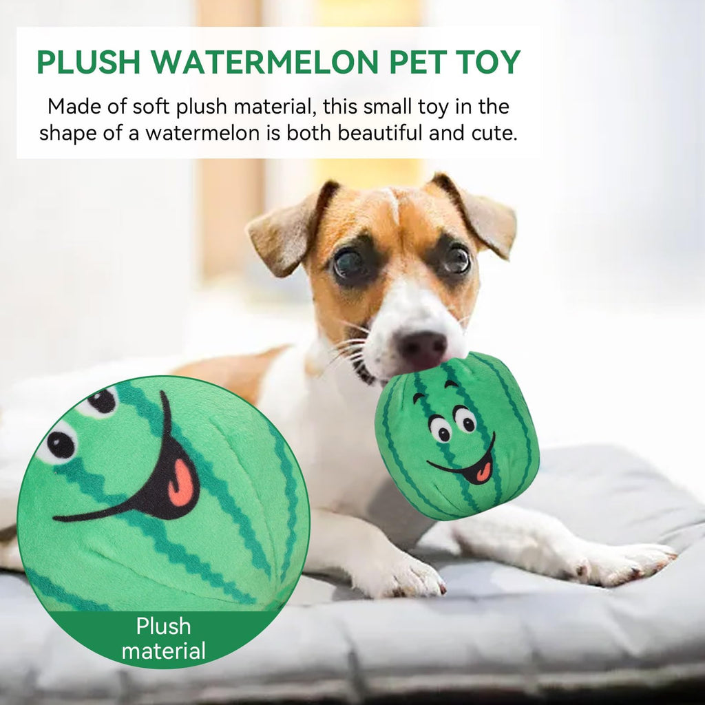 4Pcs Squeaky Plush Dog Toys X598