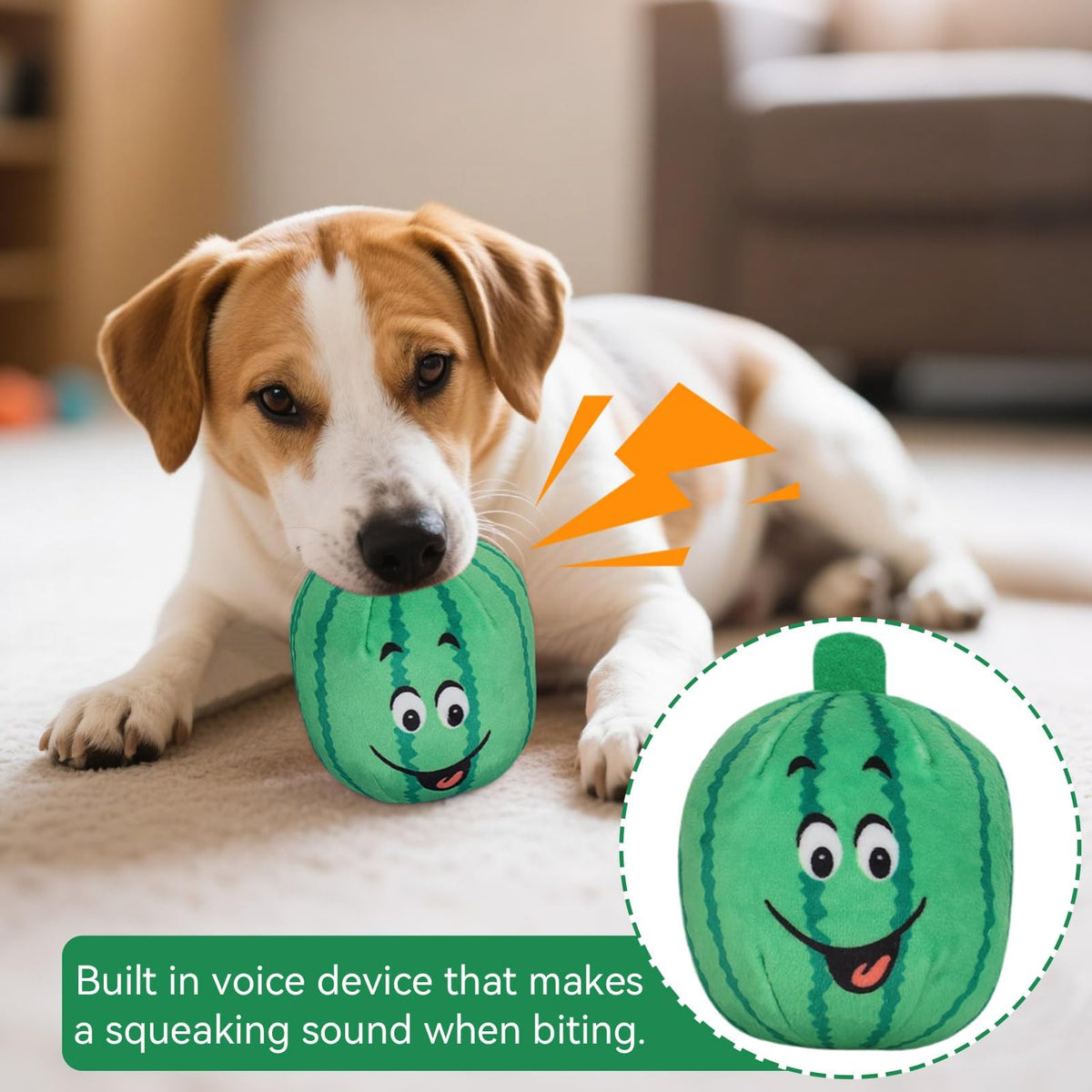 4Pcs Squeaky Plush Dog Toys X598