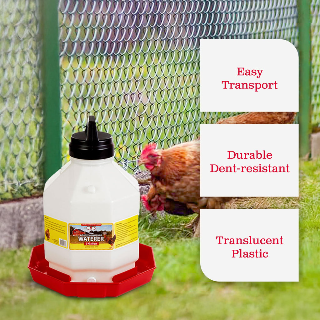 5 Gallon Hanging Automatic Poultry Waterer Dispenser, 2-Pack D298