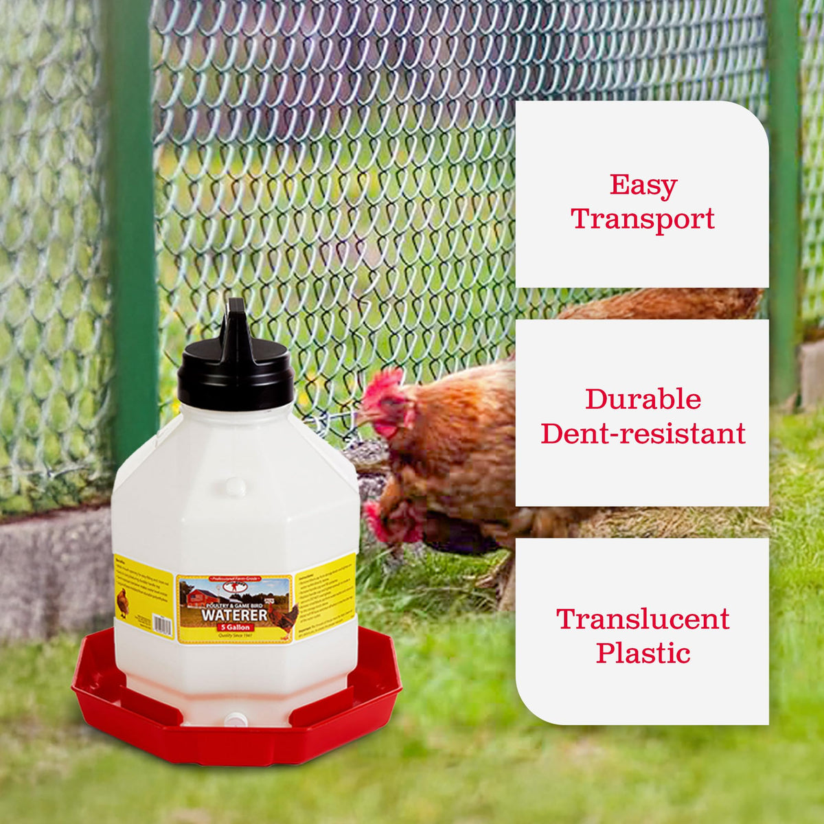 5 Gallon Hanging Automatic Poultry Waterer Dispenser, 2-Pack D298