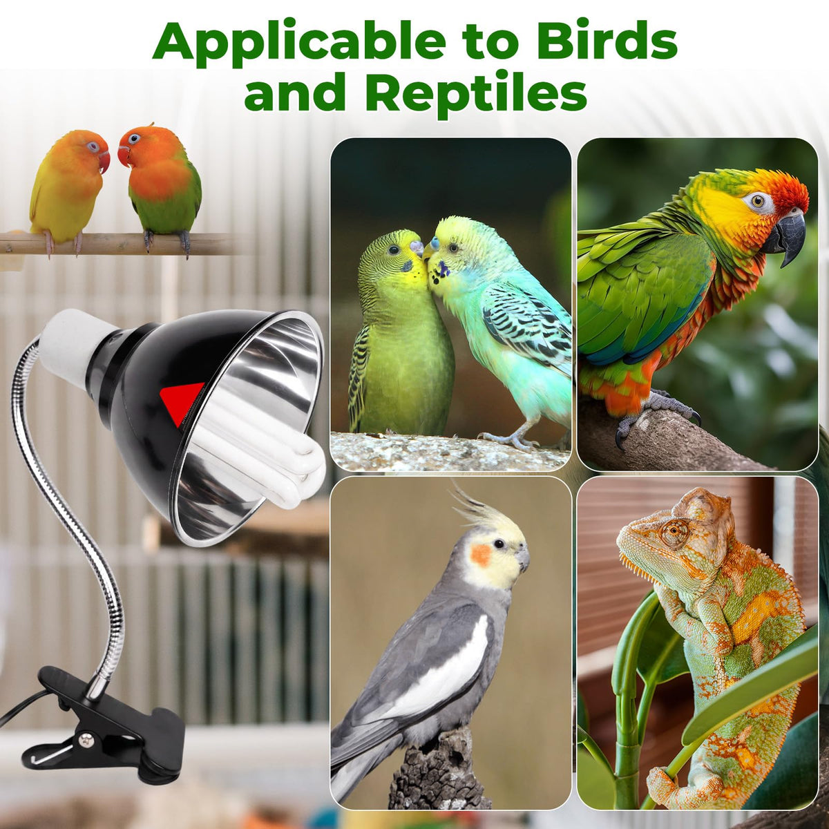 UVB Bird Cage Light Combo Kit J73976