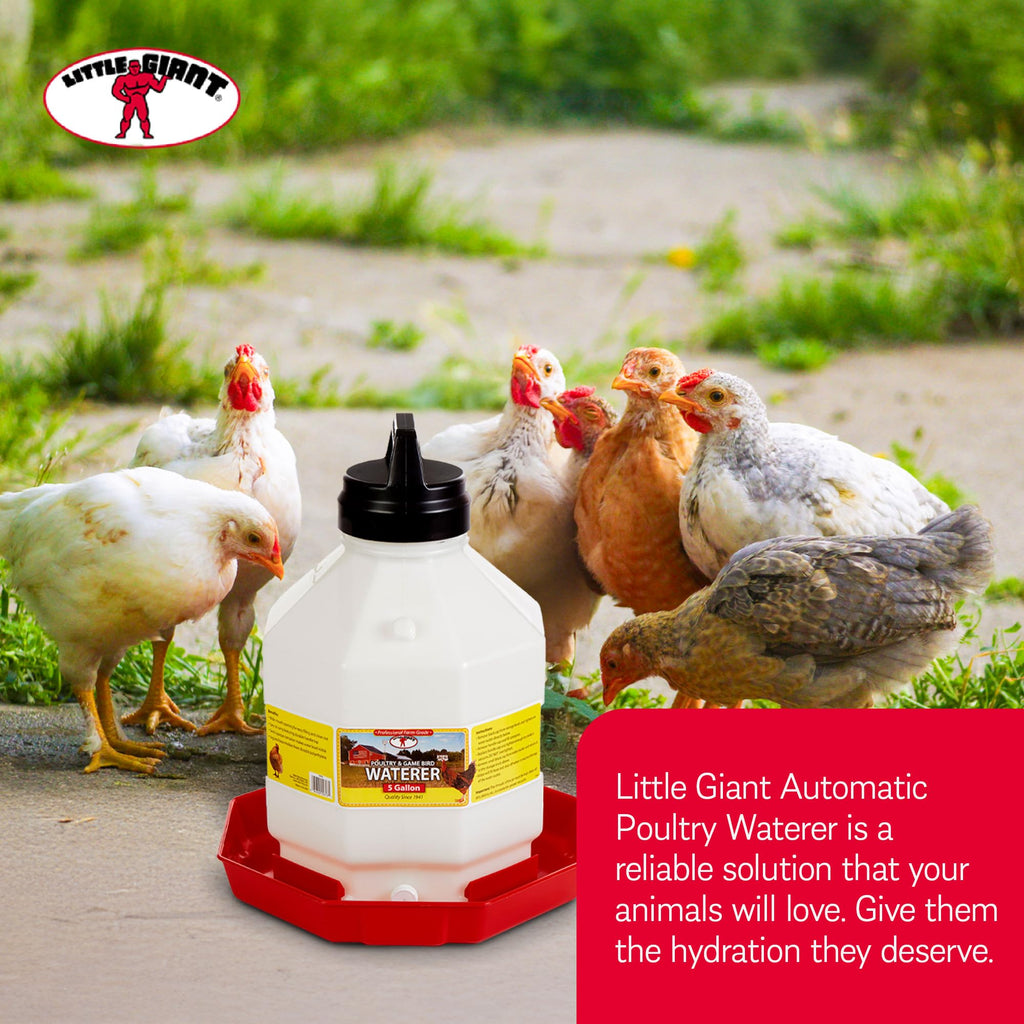 5 Gallon Hanging Automatic Poultry Waterer Dispenser, 2-Pack D298