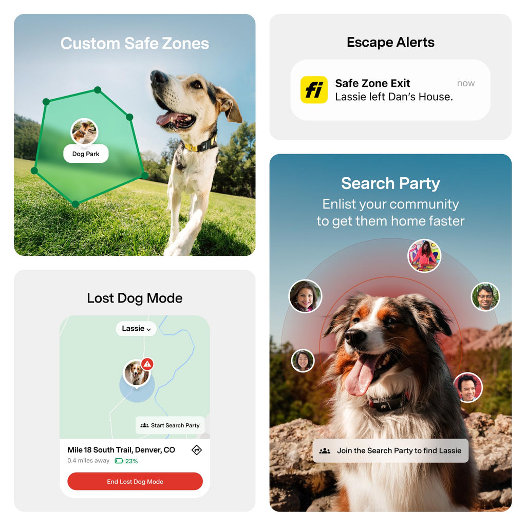 GPS Dog Collar & Tracker E684