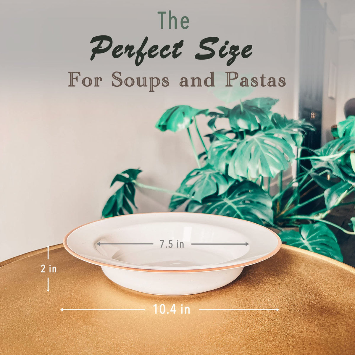 Ceramic Wide Rimmed Soup Bowl 25oz Set of 4 O4633