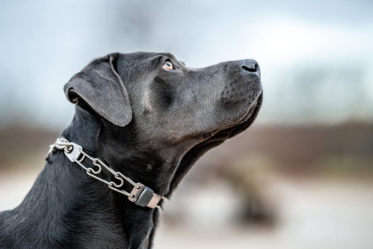 Adjustable Stainless Steel Prong Collar with Quick Release Buckle E989