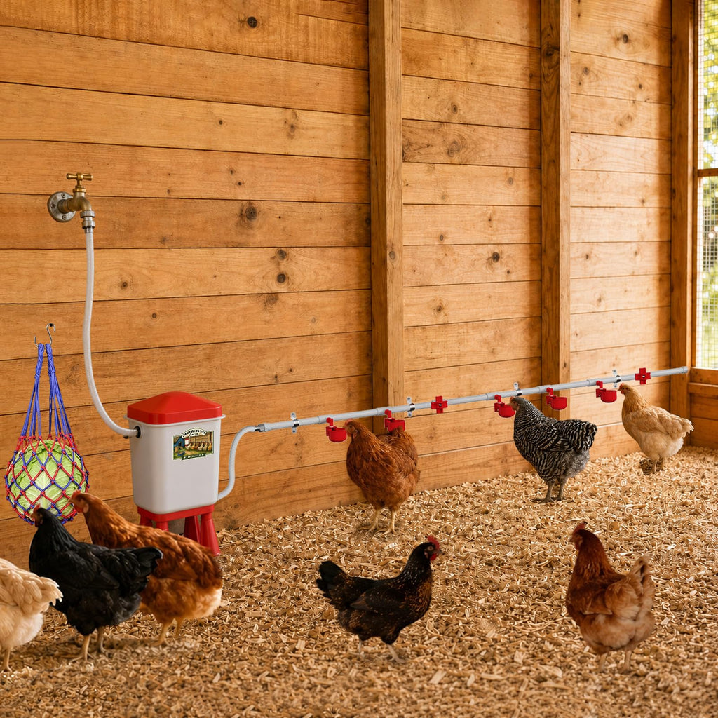 3 Gallon Automatic Chicken Waterer with 8 Cups and 8 Nipples W575