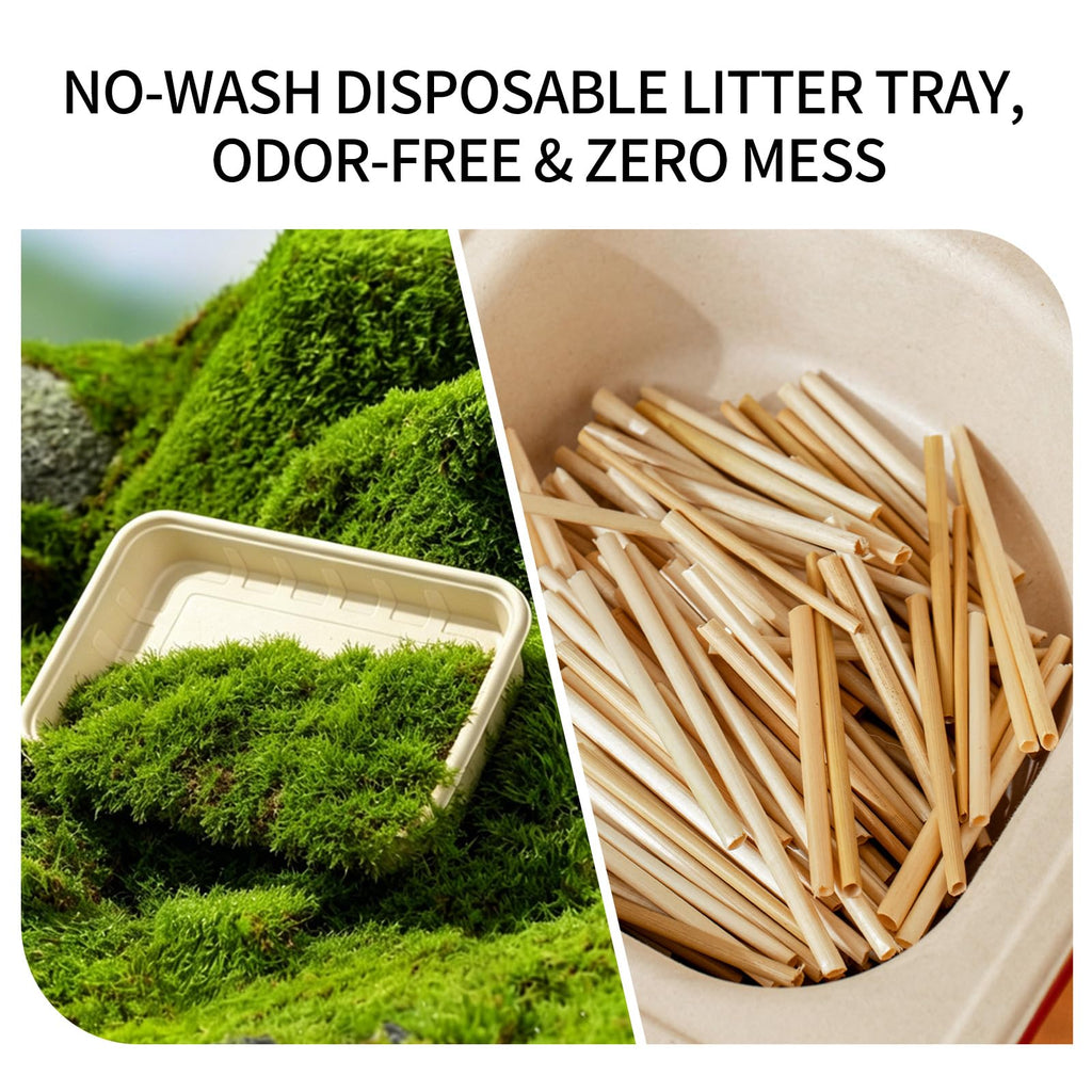 1+5 Pack Disposable Litter Boxes for Cats F5097