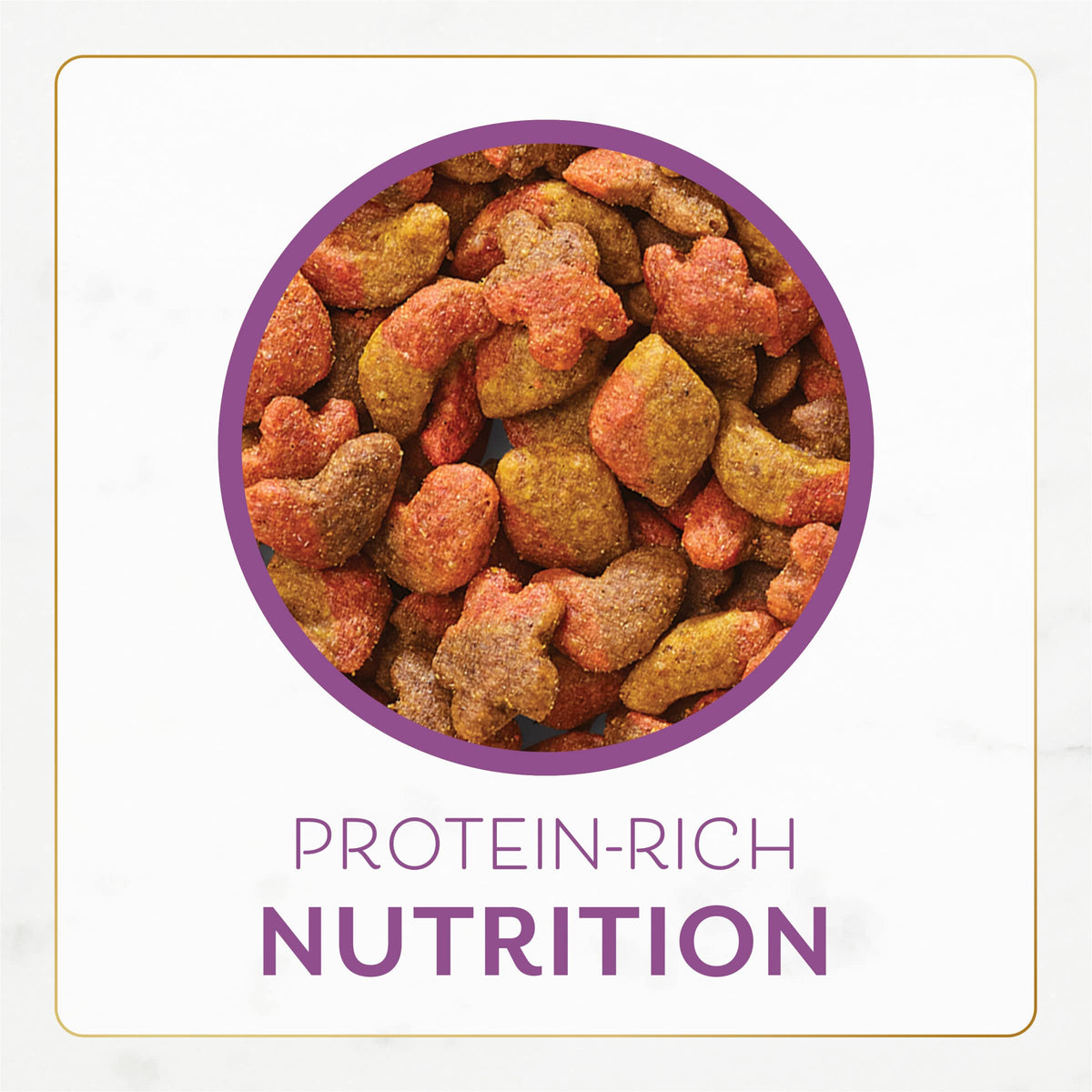 Dry Cat Food with Chicken and Turkey 7 lb Bag Pack of 2 S774