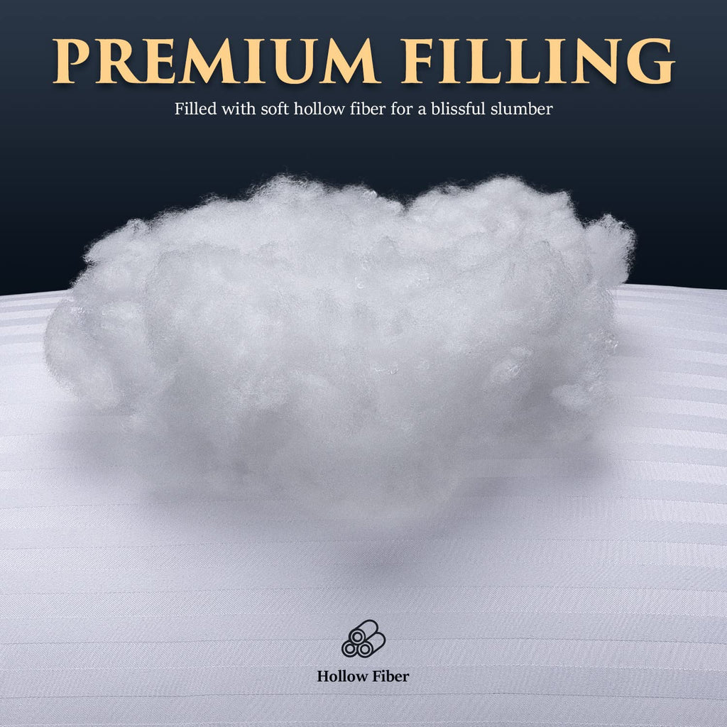 Queen Size Microfiber Bed Pillows Set of 2 X5316