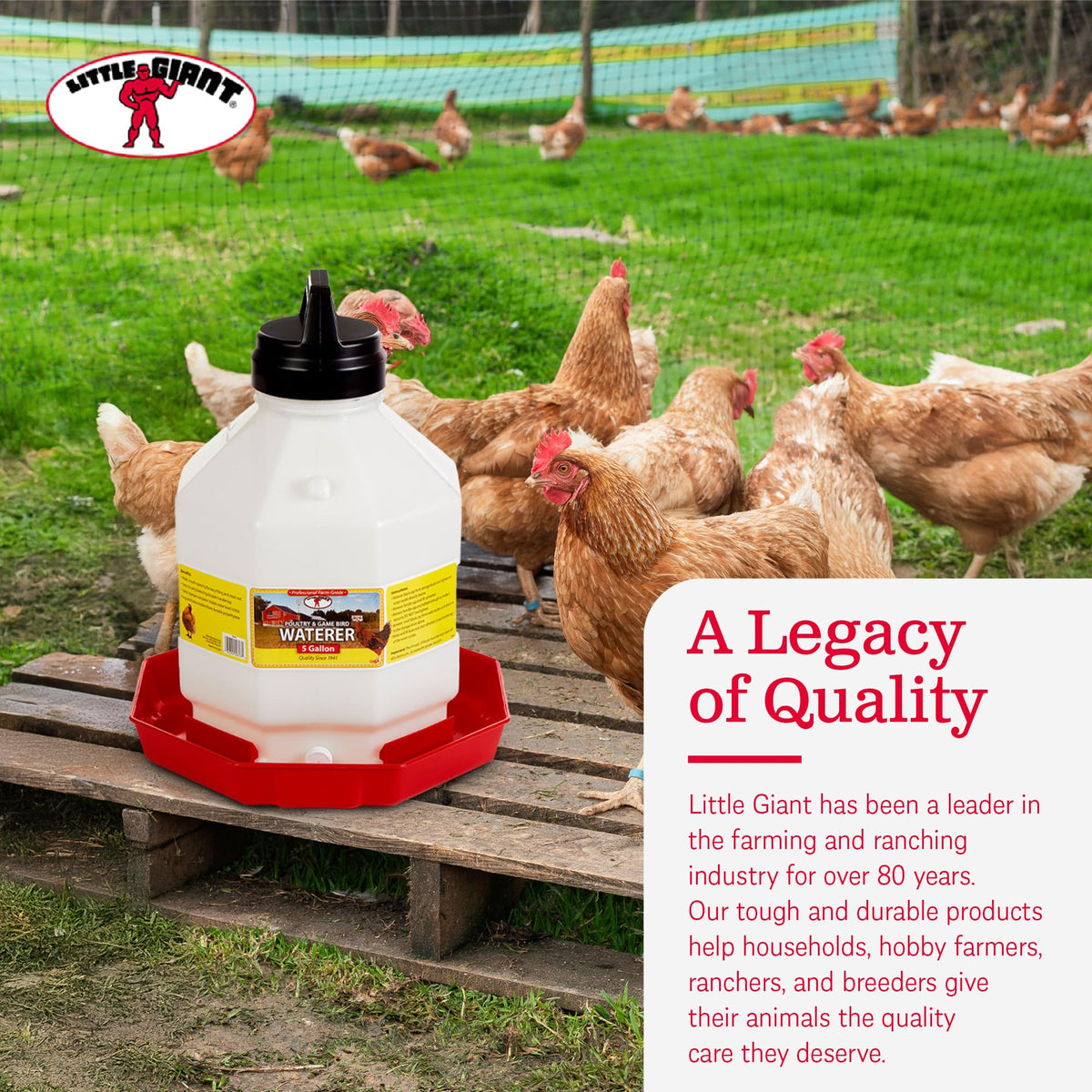 5 Gallon Hanging Automatic Poultry Waterer Dispenser, 2-Pack D298